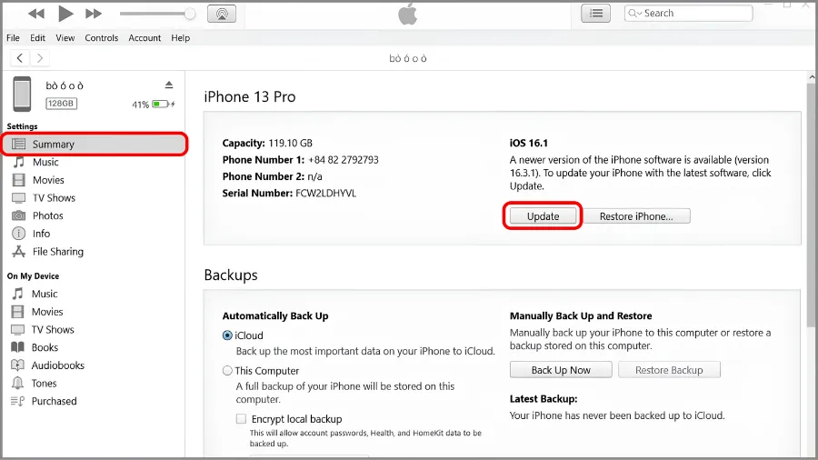 cập nhật phần mềm iPhone
